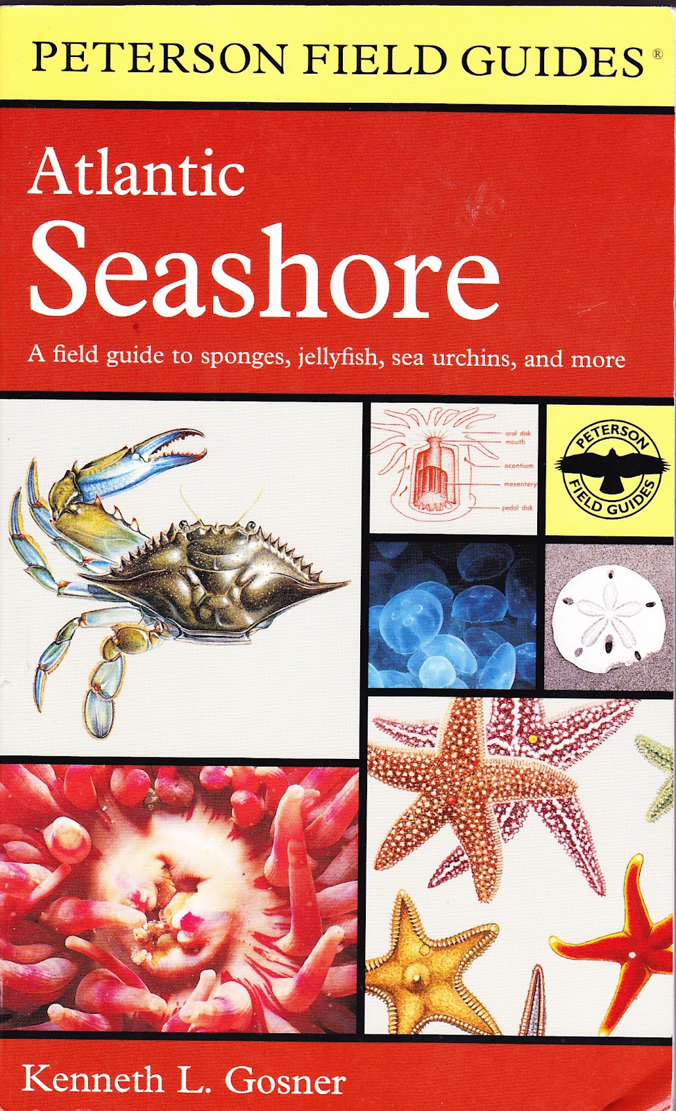 the marlowe bookshelf The Seaside Naturalist